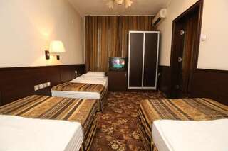 Отель Отель& Ресторан Дом София Небольшой двухместный номер с 2 отдельными кроватями-7